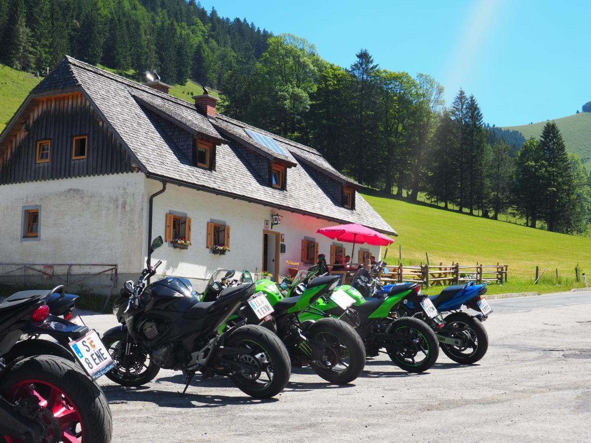 Hostel Zickerreith Almhütte Rosenau am Hengstpass Exterior foto