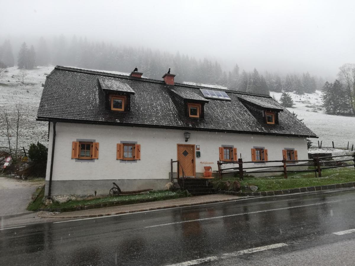 Hostel Zickerreith Almhütte Rosenau am Hengstpass Exterior foto