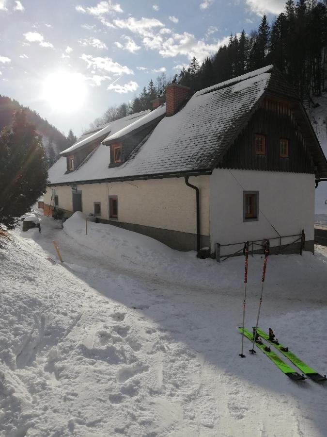 Hostel Zickerreith Almhütte Rosenau am Hengstpass Exterior foto